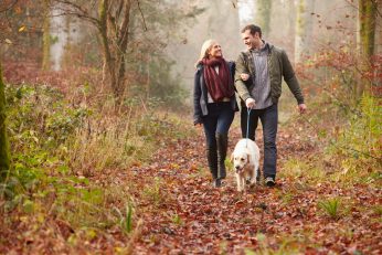 Couple Walking Dog Through Oban Woods staying at Pet Friendly Hotel